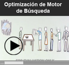 Optimización de Motor de Búsqueda